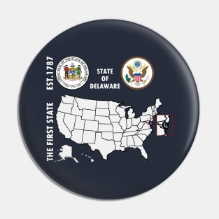 State of Delaware Pin