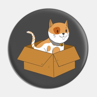 Cat in a box! Pin