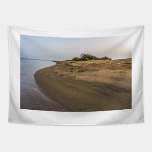 BEACH Tapestry