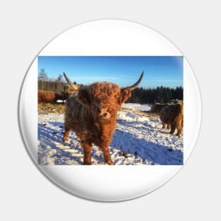 Scottish Highland Cattle Cow 1692 Pin