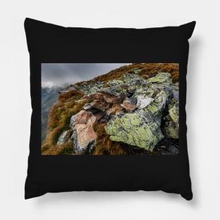 Alpine landscape with rocks Pillow