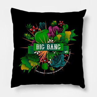 Big Bang Pillow