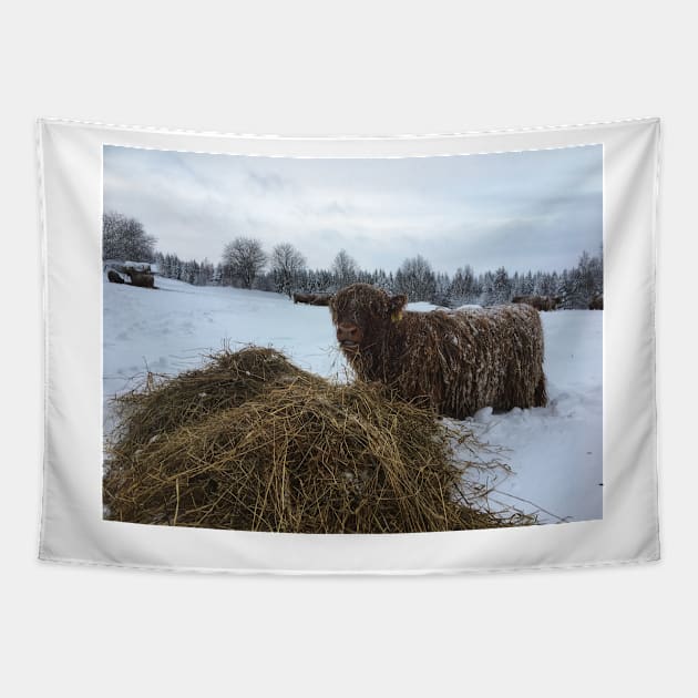 Scottish Highland Cattle Calf 1881 Tapestry by SaarelaHighland