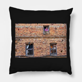 Windows. Pillow