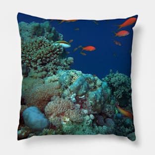 Red Sea Coral Reef Pillow
