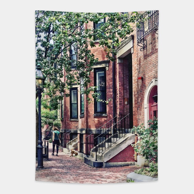 Boston MA - Walking the Dog on Mount Vernon Street Tapestry by SusanSavad