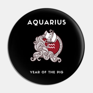 AQUARIUS / Year of the PIG Pin