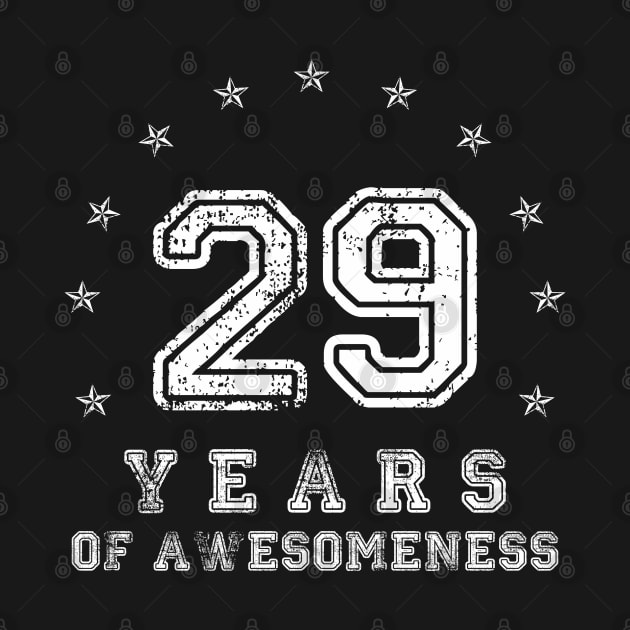 Vintage 29 years of awesomeness by opippi