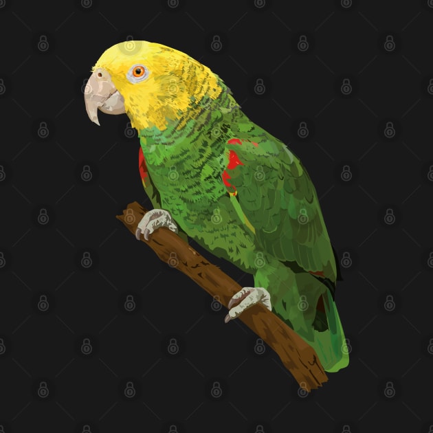 Yellow-headed Amazon by obscurite