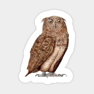 owl Magnet