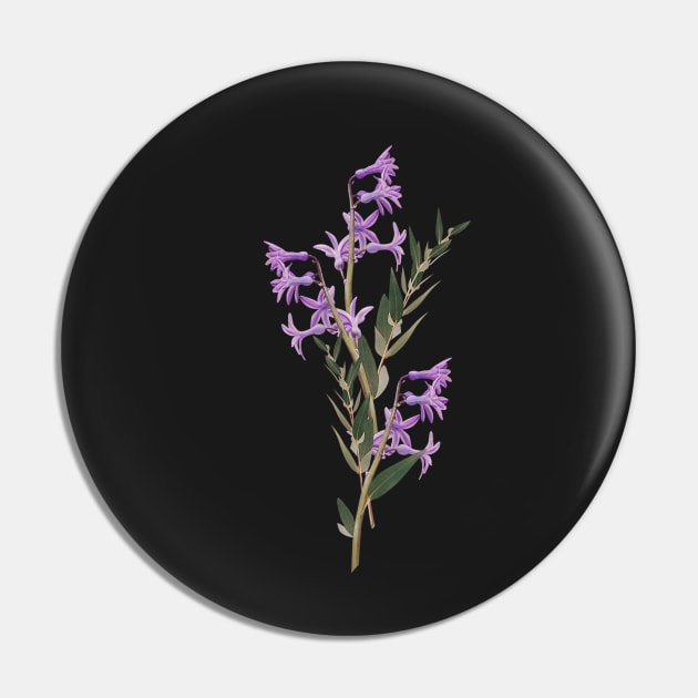 Beautiful Flowers 19 Pin by Studio-Sy