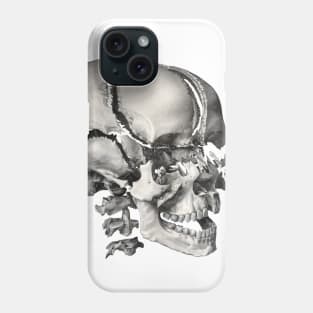 Vintage Science, Antique Human Anatomy Skull Phone Case