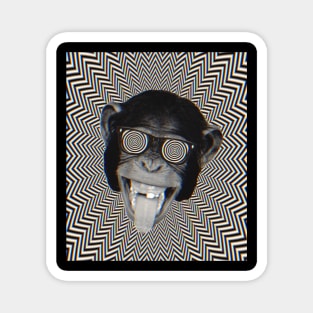 Monkey Geometric Magnet