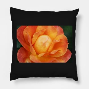 Textured Orange Rose Pillow