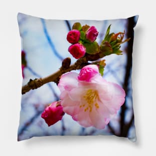 Photography - First sign of spring Pillow