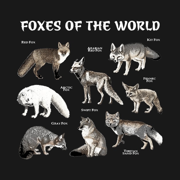 Foxes of the world funny fox animals educational by marcrosendahle