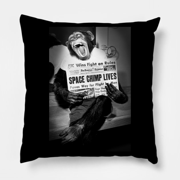 NASA Chimp Pillow by dudepal