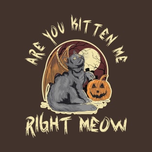 Are You Kitten Meow Right Now - Funny Halloween Cat Pun, Halloween Cat Humor, Halloween Cat Quote, Dark Night Grave Grim Design Funny Gift Idea For Cat Lover T-Shirt
