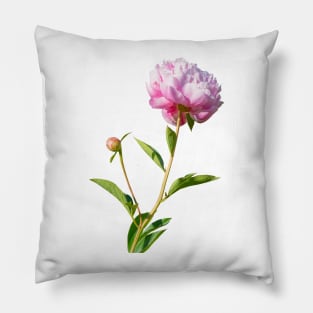 Big pink peony 2 Pillow