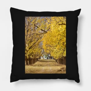 The Long Driveway in Autumn / Fall Pillow