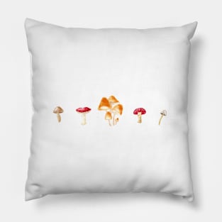 Mushrooms | Cottagecore Aesthetic | Watercolor Pillow