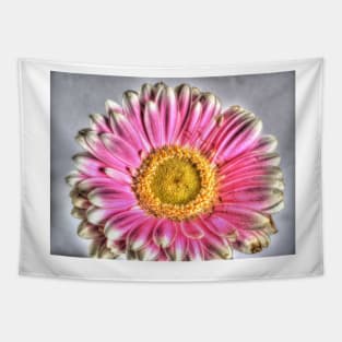 Pink and white gerbera HDR Tapestry