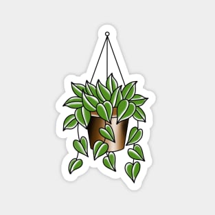 Hanging basket pothos Magnet