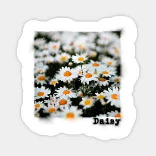 Daisy Art Magnet