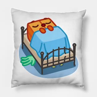 Square Pumpkin loves to sleep Pillow