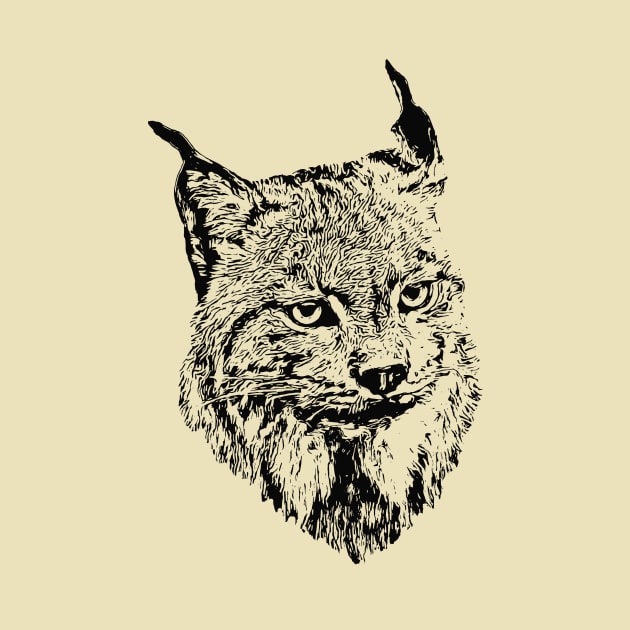 Lynx by Guardi