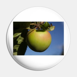 alb apple a day Pin