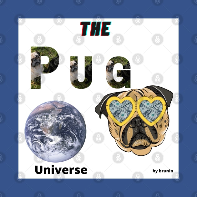 the pug universe by urbanity jungle