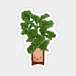 Cute Plant Illustration, Fiddle leaf Fig Illustration Magnet