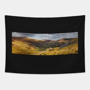 Fan Brycheiniog, Fan Hir, Cefn Cul, Bwlch Bryn-rhudd Pass, Glyn Tawe and Fan Gyhirych from Cribarth, Brecon Beacons National Park, Wales Tapestry