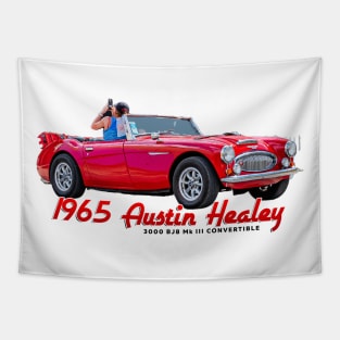 1965 Austin-Healey 3000 BJ8 Mk III Convertible Tapestry