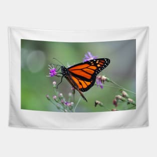 Monarch Beauty Tapestry