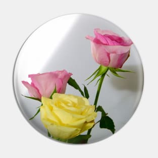 Studio Rose Bouquet, a birthday valentines gift? Pin