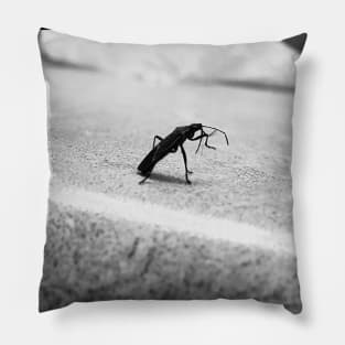 Lovebug Bathroom Dance Pillow