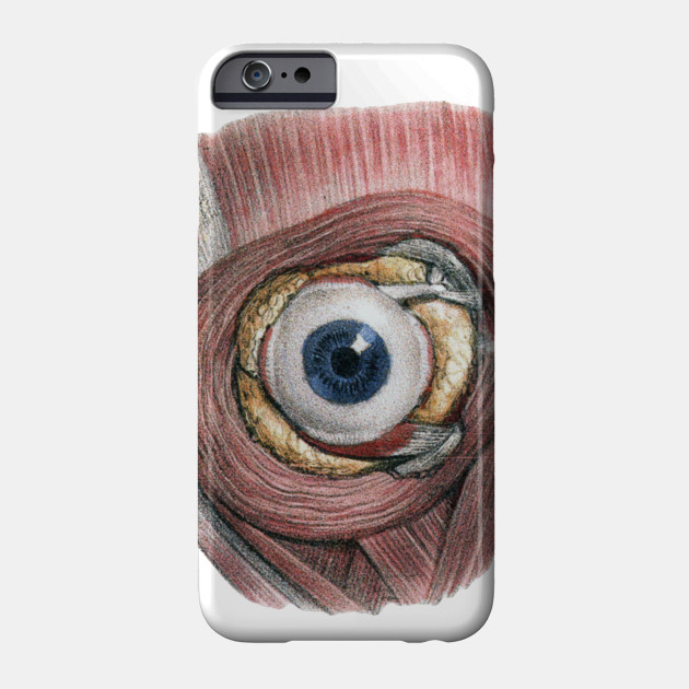 Vintage Anatomy Print iPhone 11 case Vintage Anatomy Print iPhone 11 case