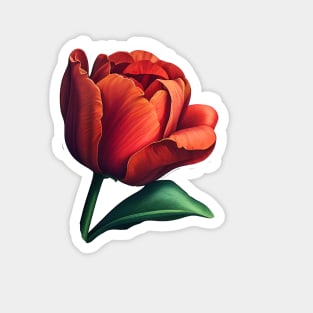 Red Tulip Magnet