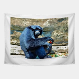 Siamang Having A Snack Tapestry