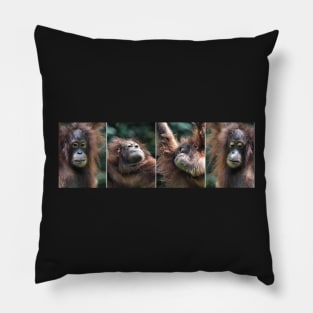 "The Four Faces of Eve" Female Orangutan, Borneo Pillow