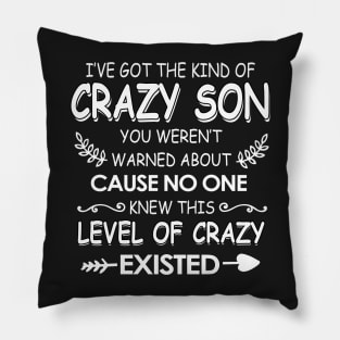 I've got The kind of crazy son you weren't cause no one knew Pillow
