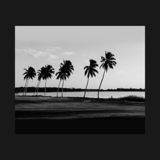 Black White Coconut Trees T-Shirt