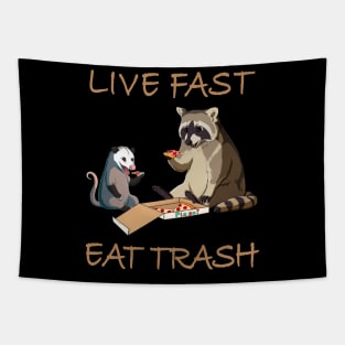 Urban Chic Raccoon Graphic Merch Tapestry