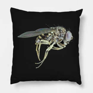 Tiny fly Pillow