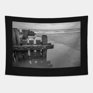 Wooden sea defences protecting the beach from coastal erosion Tapestry