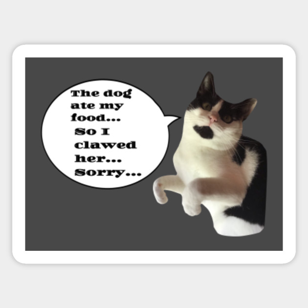 The Dog Ate My Food Cat 2 Cats Sticker Teepublic