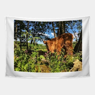 Scottish Highland Cattle Calf 1781 Tapestry