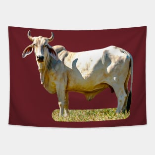 Brahaman Bull Tapestry